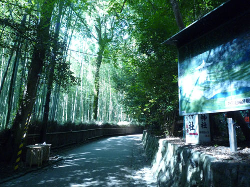 嵐山の野々宮神社