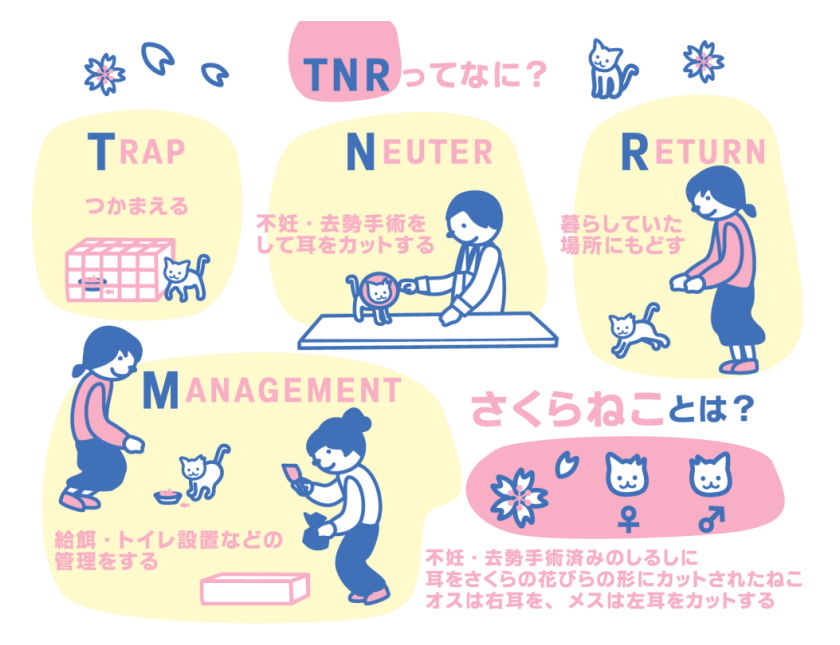 TNR活動
