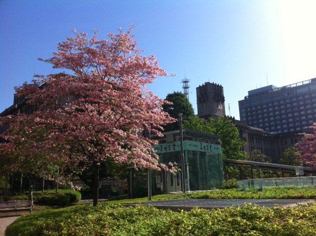 本日より５月議会スタート