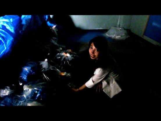 五山送り火の薪　放射線量