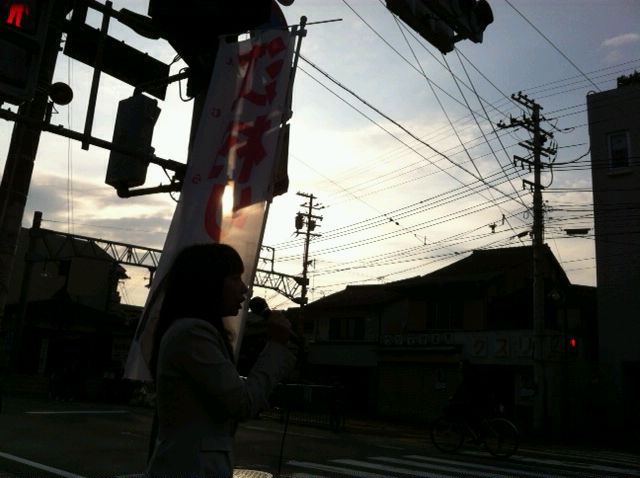 政策立案の兆し