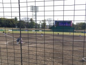 女子野球観戦